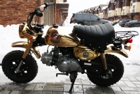 Limited Edition Gold