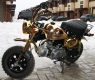 Limited Edition Gold