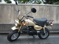 Limited Edition Gold 1700 км