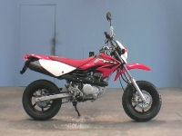 XR 50 SM 