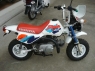Monkey Baja 302 км