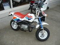 Monkey Baja 302 км