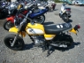 APE 100 Yellow