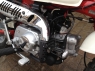 Honda Monkey FI White 