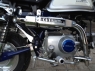 Honda Monkey FI Blue